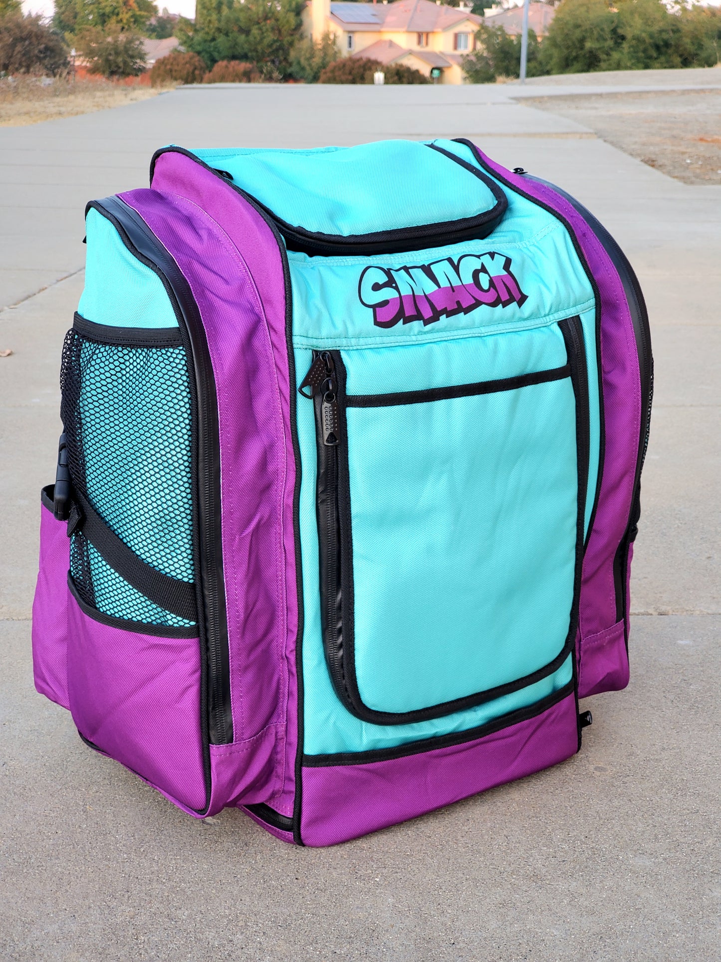 Buzz City Edition Purple & Aqua Disc Golf Backpack